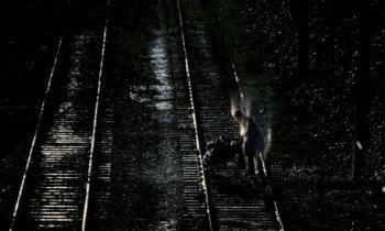 Белый шум 2: Сияние