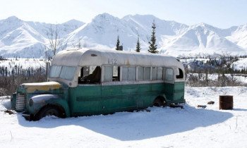 В диких условиях