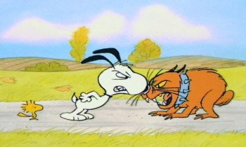 Someday You'll Find Her, Charlie Brown