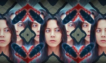 Чёрный медведь